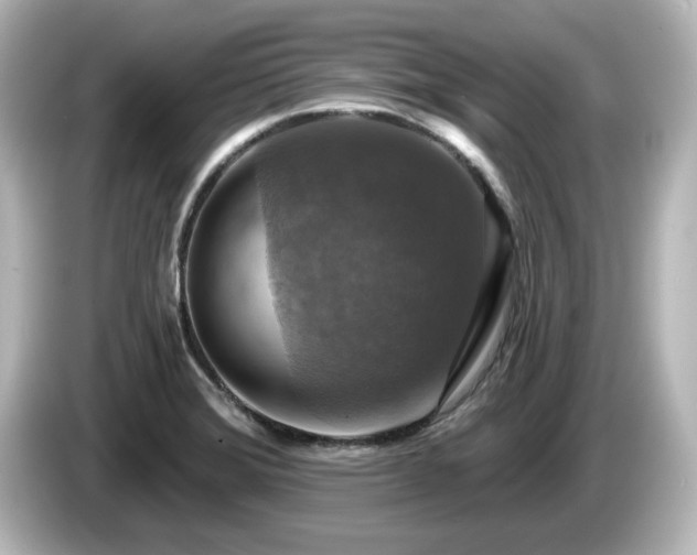 X0000085771372200703161132