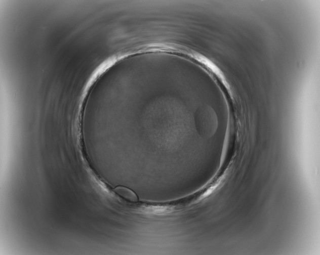 X0000085771373200703161132