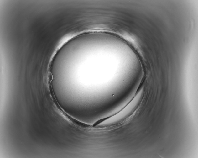 X0000085771374200703161132