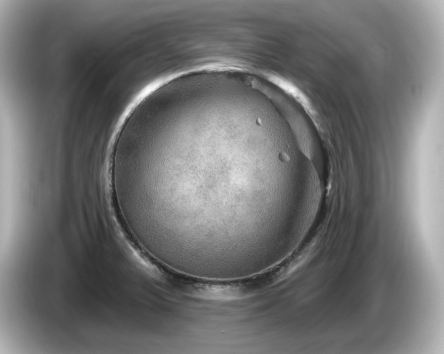 X0000085771375200703161132