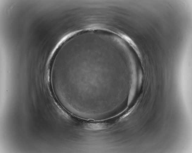 X0000085771376200703161132