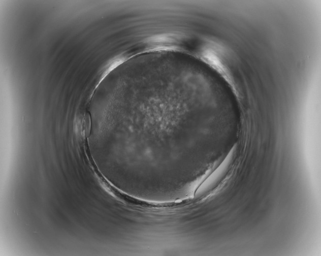 X0000085771377200703161132