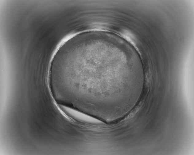 X0000085771379200703161132