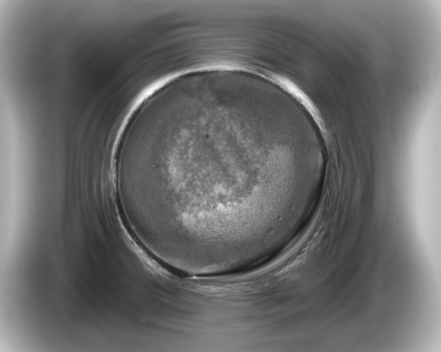 X0000085771380200703161132