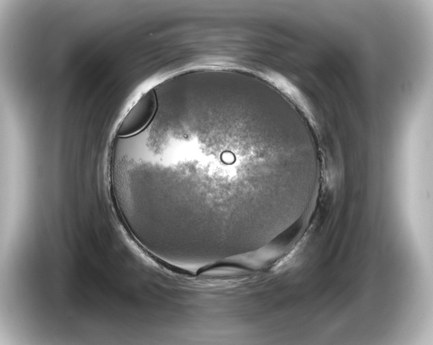 X0000085771382200703161132