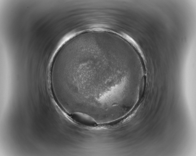 X0000085771384200703161132