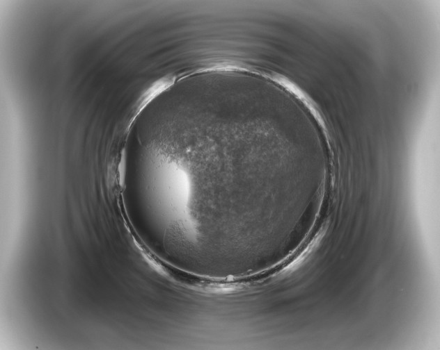 X0000085771385200703161132