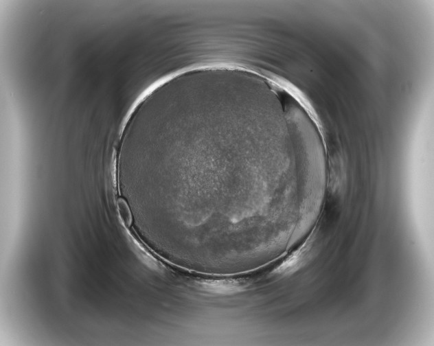 X0000085771388200703161132