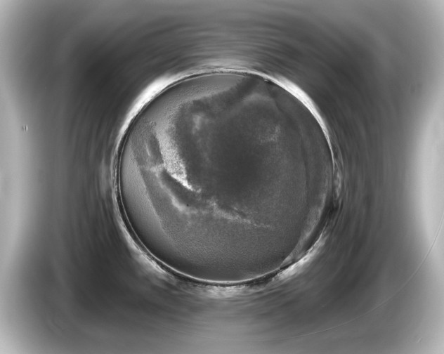 X0000085771389200703161132