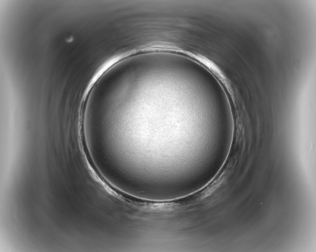 X0000085771390200703161132