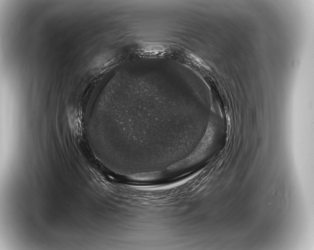 X0000085771394200703161131