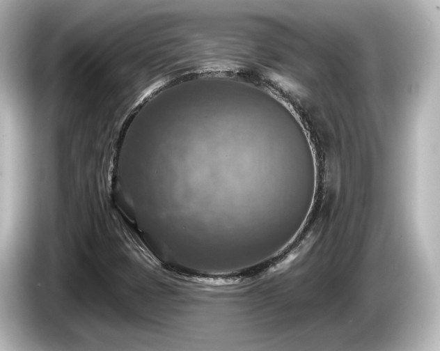 X0000085771401200703161131