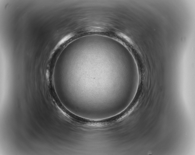 X0000085771402200703161131