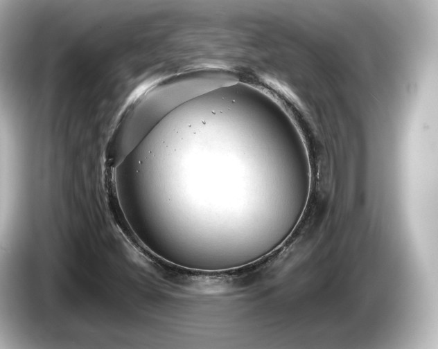 X0000085771404200703161131