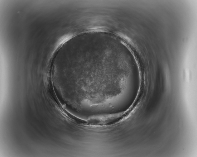 X0000085771405200703161131