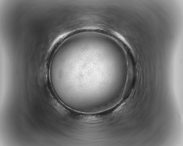 X0000085771408200703161131