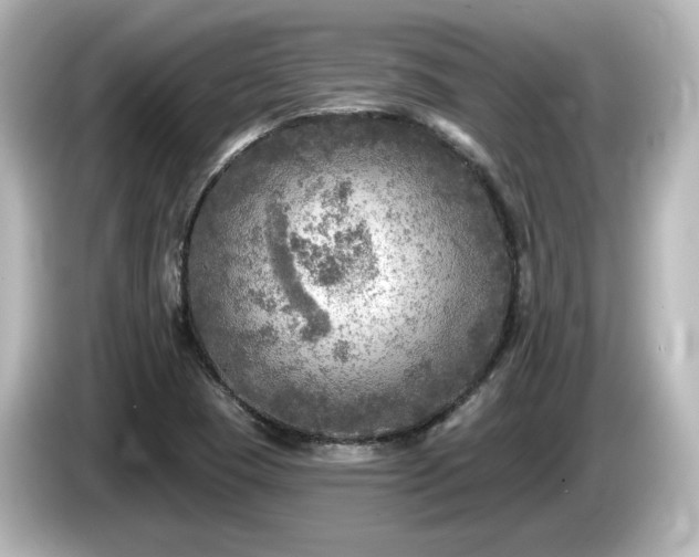 X0000085771409200703161131