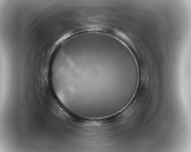 X0000085771411200703161131