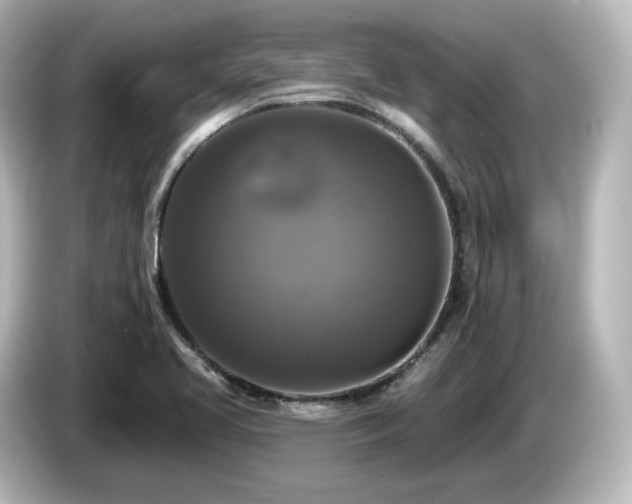 X0000085771413200703161131