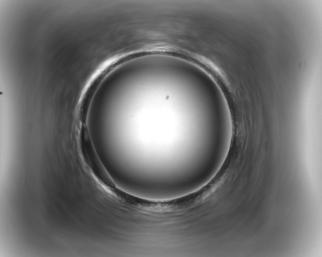 X0000085771414200703161131