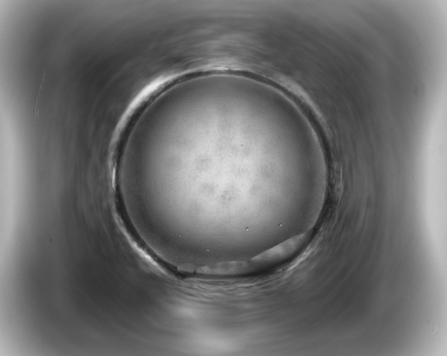 X0000085771416200703161131