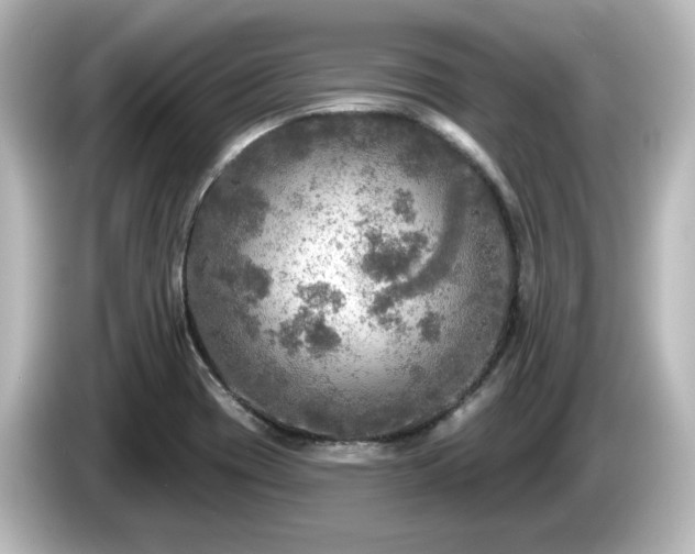 X0000085771417200703161131