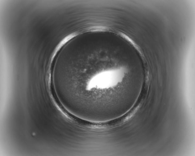 X0000085771418200703161131