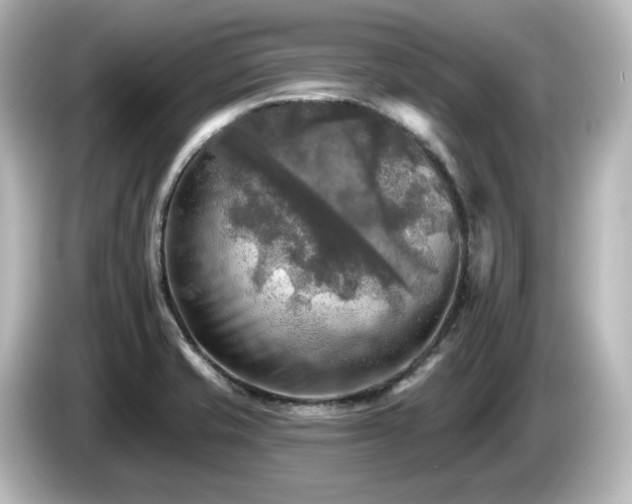 X0000085771421200703161131