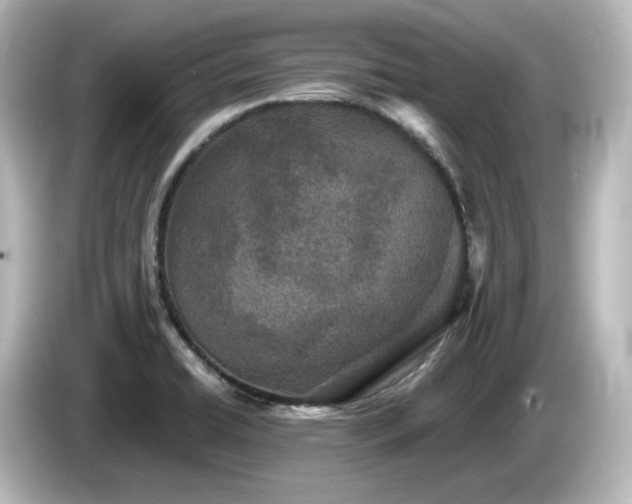 X0000085771422200703161131