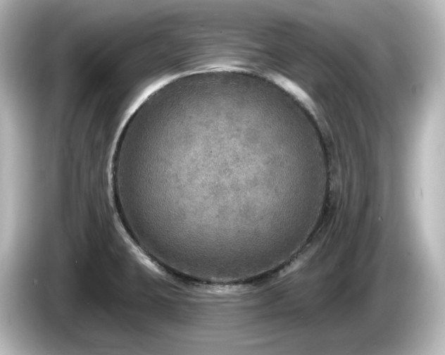 X0000085771423200703161131