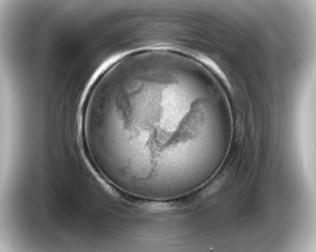 X0000085771424200703161131