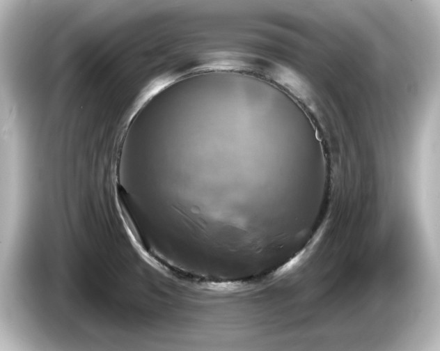 X0000085771425200703161131