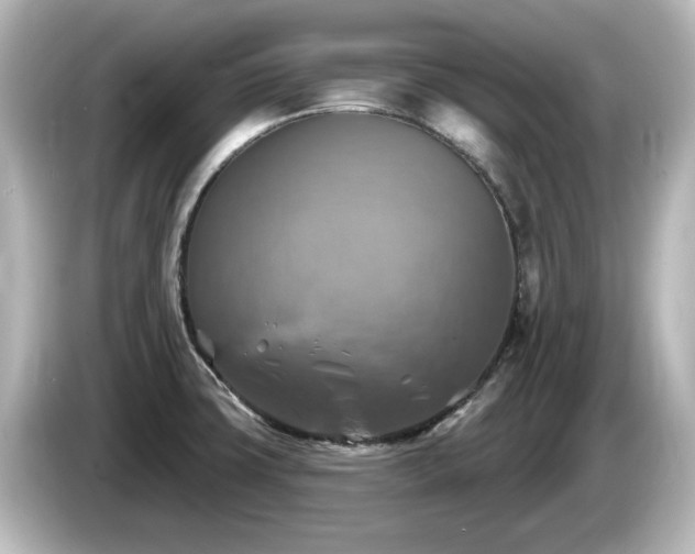 X0000085771427200703161131