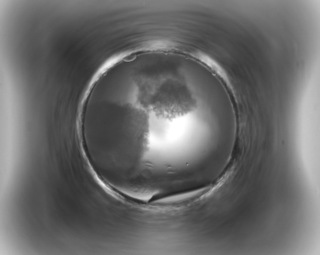 X0000085771429200703161131