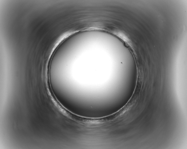 X0000085771431200703161131