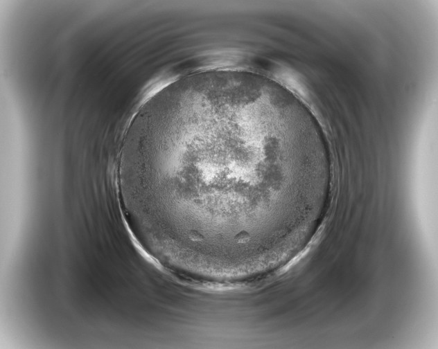 X0000085771433200703161131