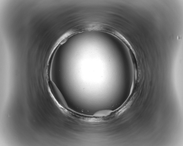 X0000085771434200703161131