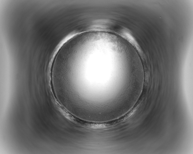 X0000085771435200703161131