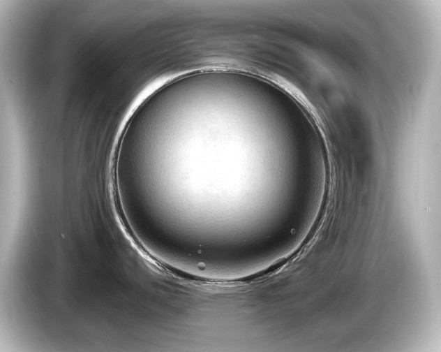 X0000085771440200703161131