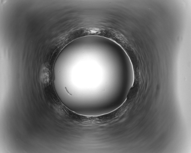 X0000085771442200703161131