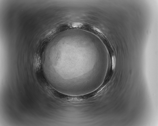 X0000085771443200703161131