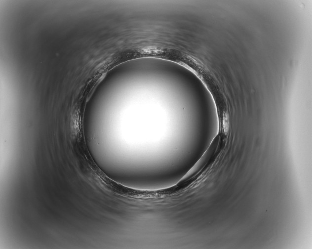 X0000085771444200703161131