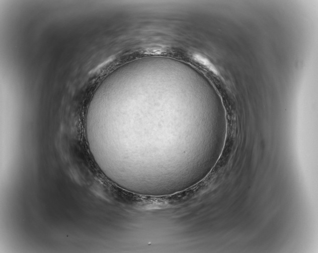 X0000085771446200703161131