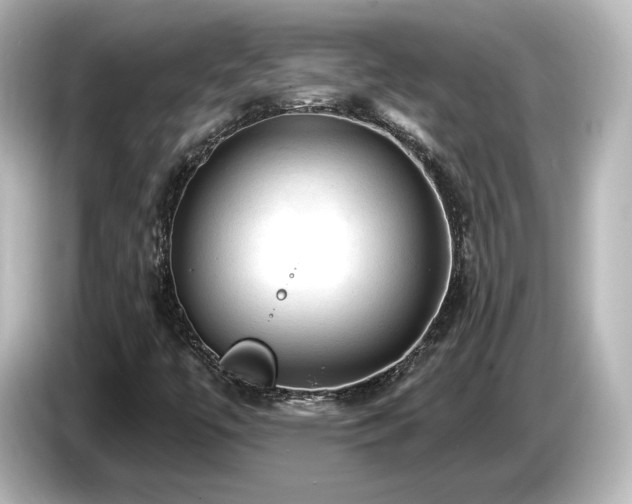 X0000085771447200703161130