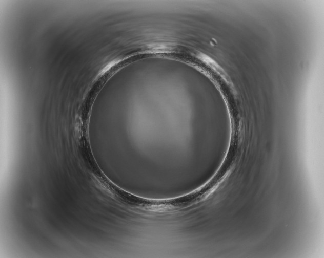 X0000085771449200703161130