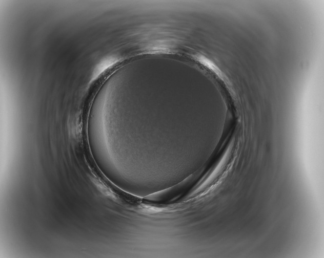 X0000085771450200703161130
