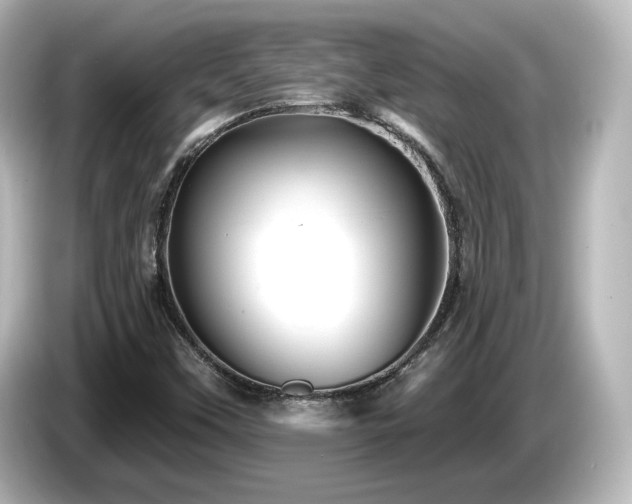 X0000085771451200703161130