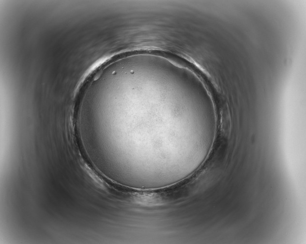 X0000085771452200703161130