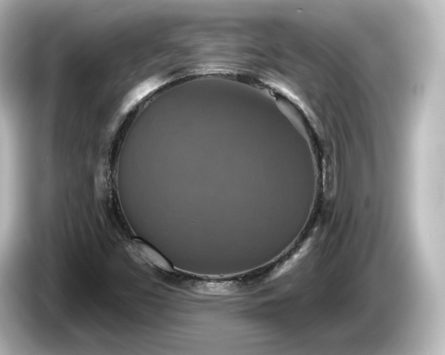 X0000085771453200703161130