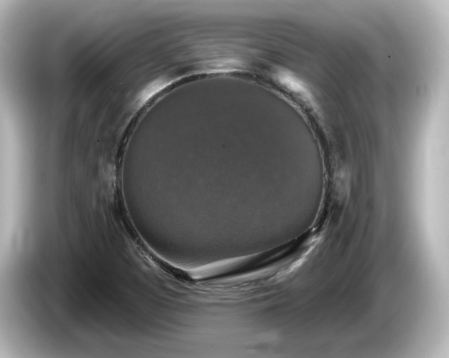 X0000085771457200703161130